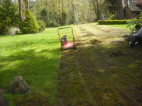 clackamas-or Lawn-dethatching enjoy a good lawn Seeding from M by doing a good thatching and re-Seeding Green Pros
