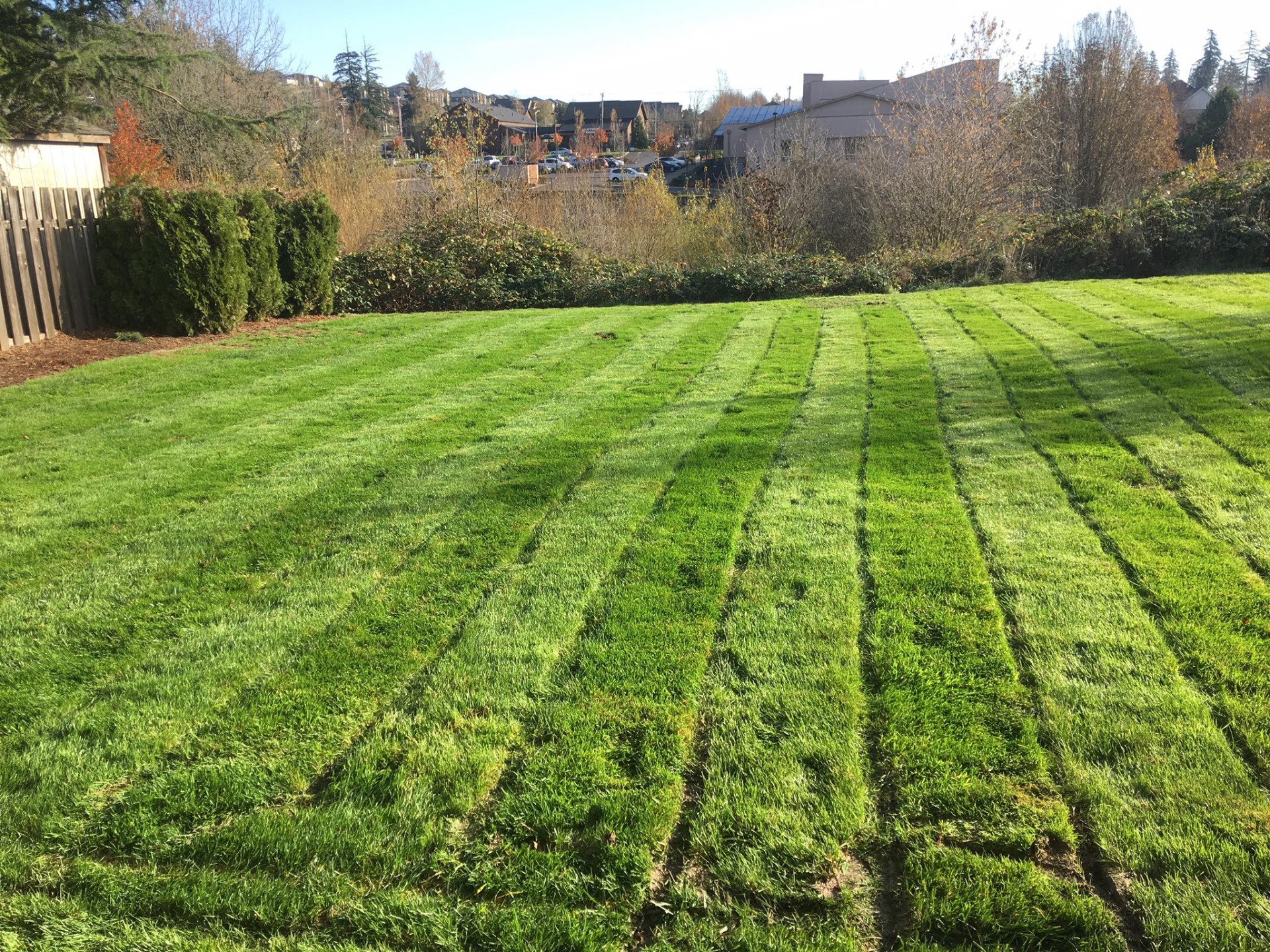 lake-oswego-or My Green Pros, Lawn Core Aeration Services