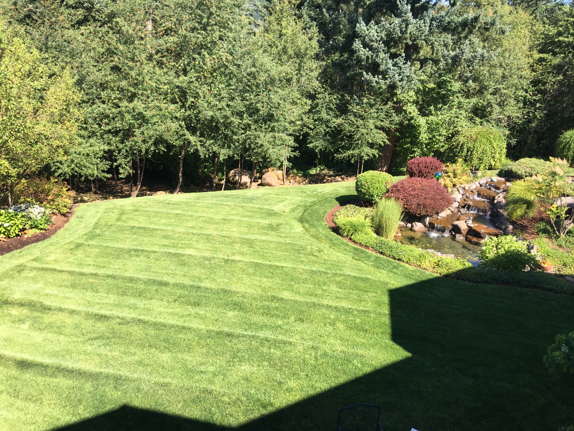 vancouver-wa lawn-care-service lawn-aeration My Green Pros, Lawn Core Aeration Services