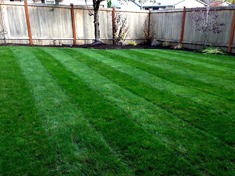 Lawn Mowing And maintenance Portland And Vancouver