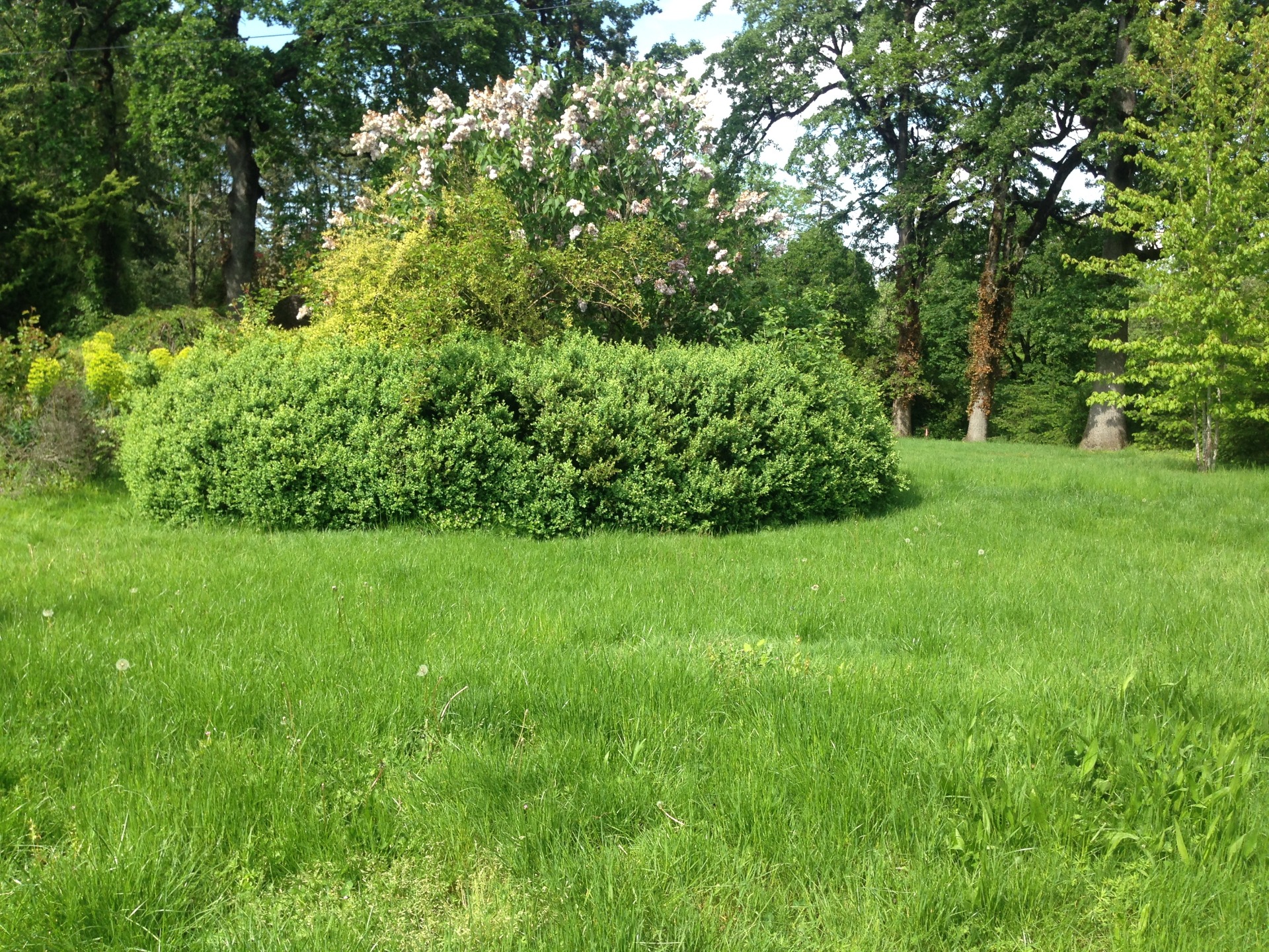 vancouver-wa  Lawn Mowing commercial My Green Pros, we provide commercial landscaping maintenance and lawn maintenance