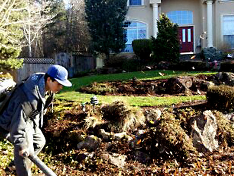 leaf-removal Leaf Cleanups. Spring cleanups, fall cleanups, and overgrown property cleanups includes a variety of services.                                                                                                                                                                                                                                                                                                     