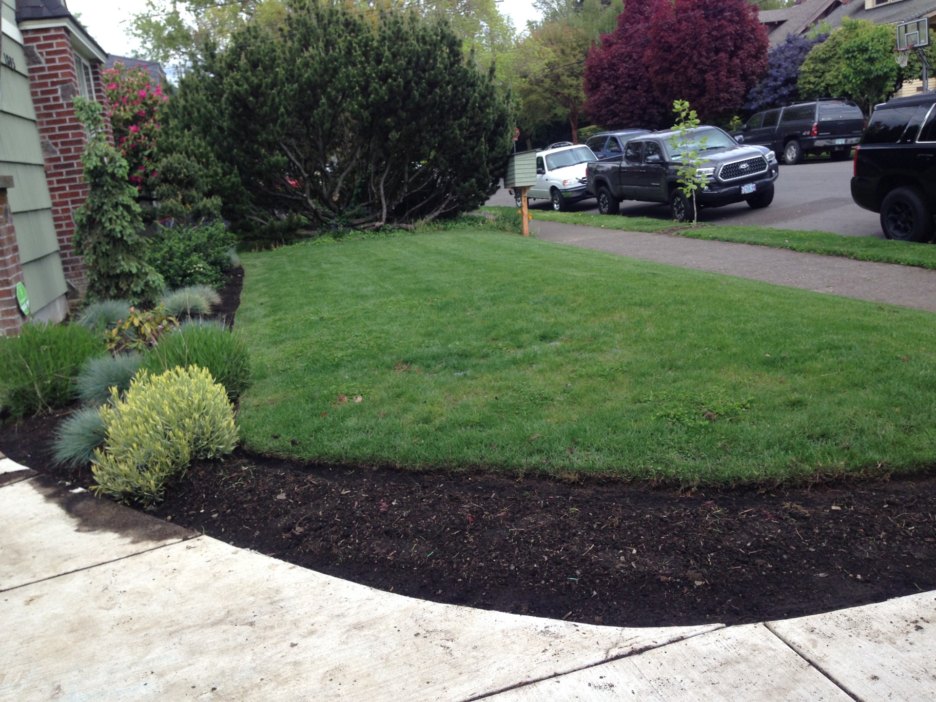 clackamas-or Lawn Maintenance, in Clackamas My Green Pros