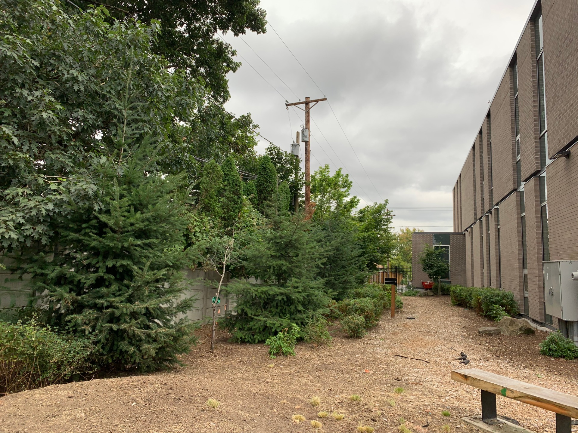  vancouver-wa yard-cleanups My Green Pros Yard Cleanups high quality commercial and residential