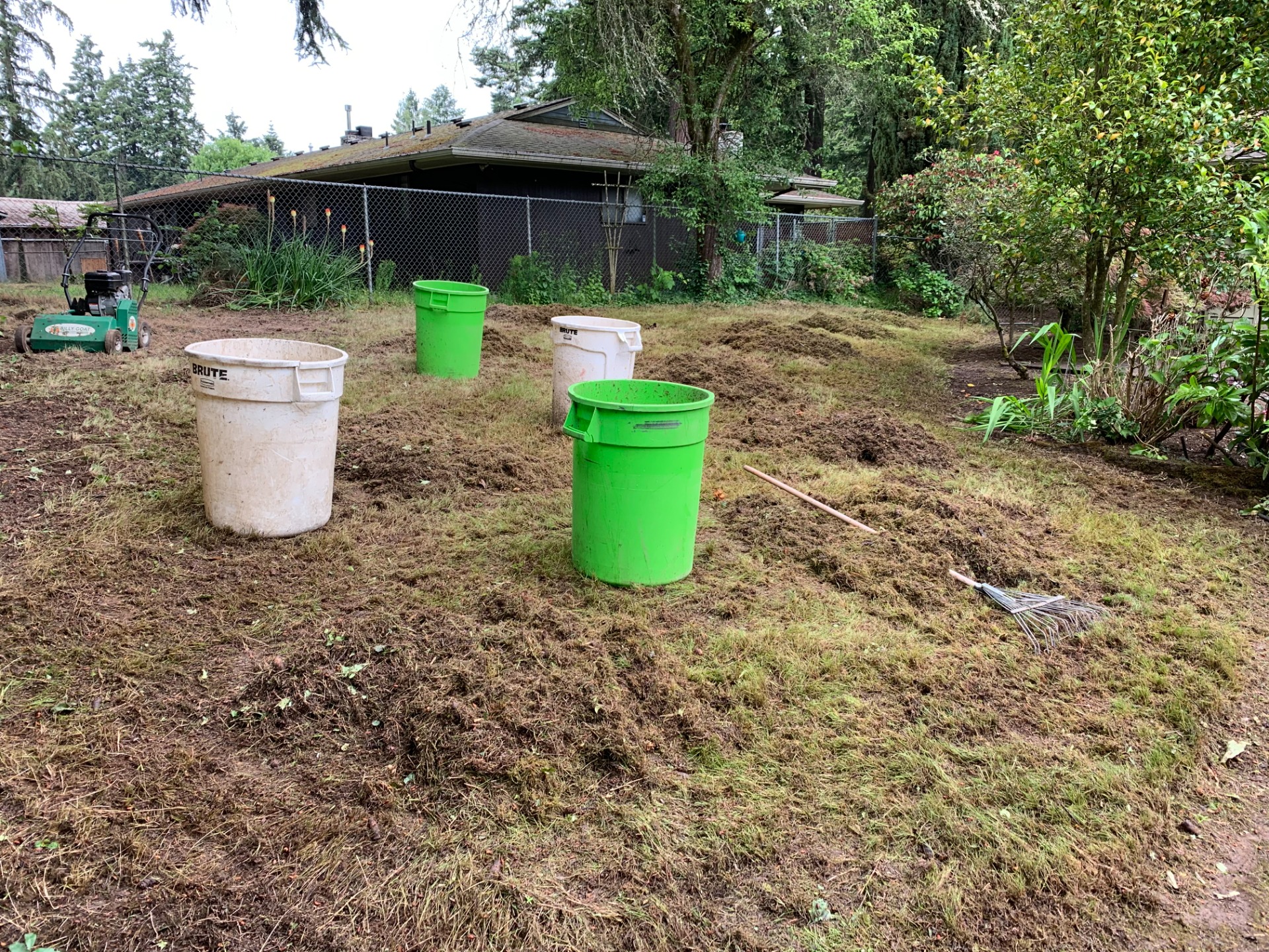 Lawn Thatching & Aeration