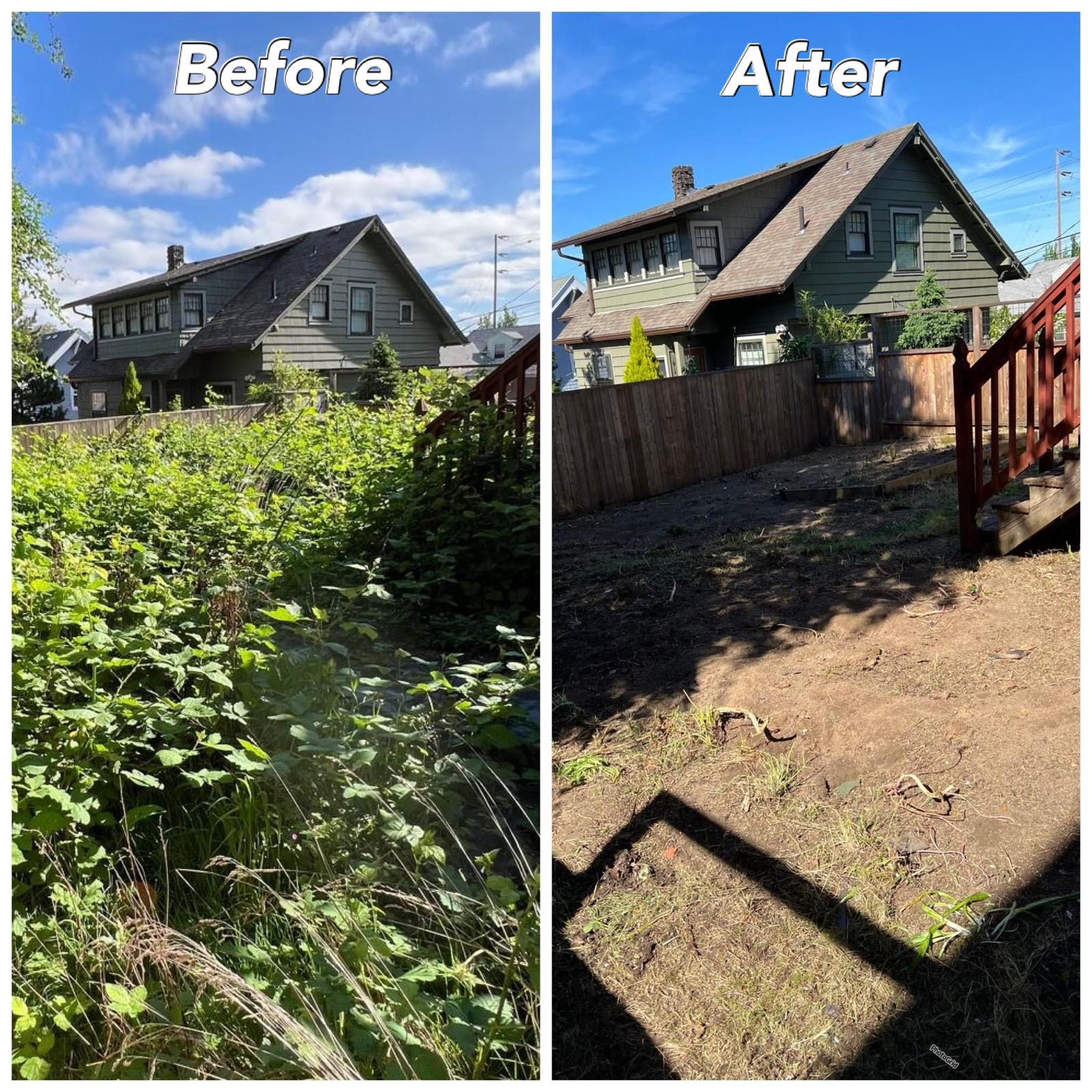 Before-Himalayan Blackberry Bush Removal Near You: Professional Services in Portland, OR