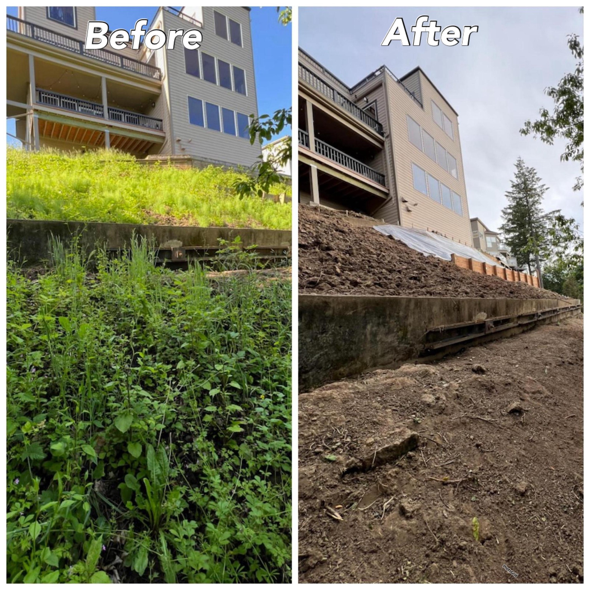 Before Yard Clean-Up: Professional Yard Cleanup Services in Portland, OR