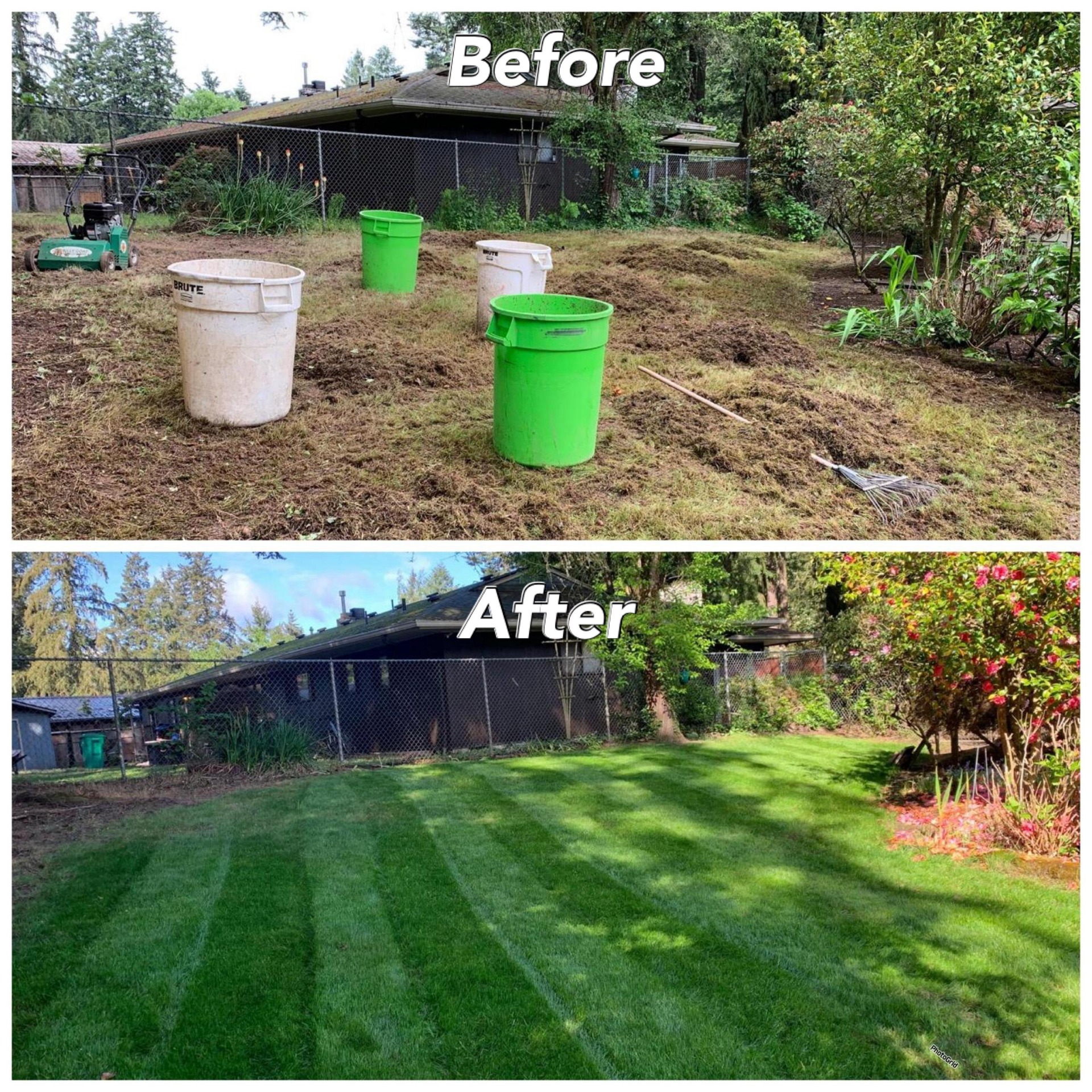 Before Lawn Dethatching: Check for Moss and Thatch on Your Lawn in Portland, OR