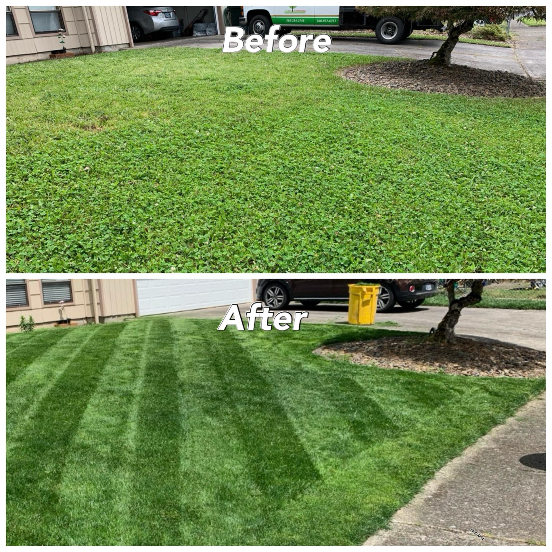 Excess Weed-Best Way to Get Rid of Excess Weeds in Your Lawn: Expert Weed Removal in Portland, OR