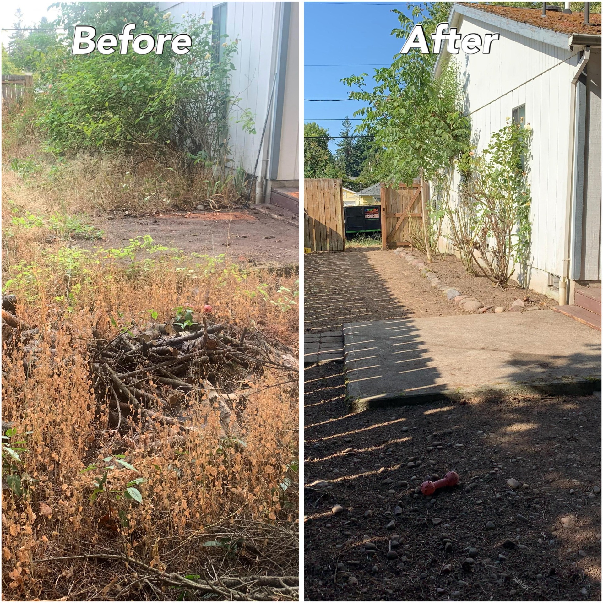 Expert & Professional Yard Clean-Up Service | Reliable Lawn Care Solution near you