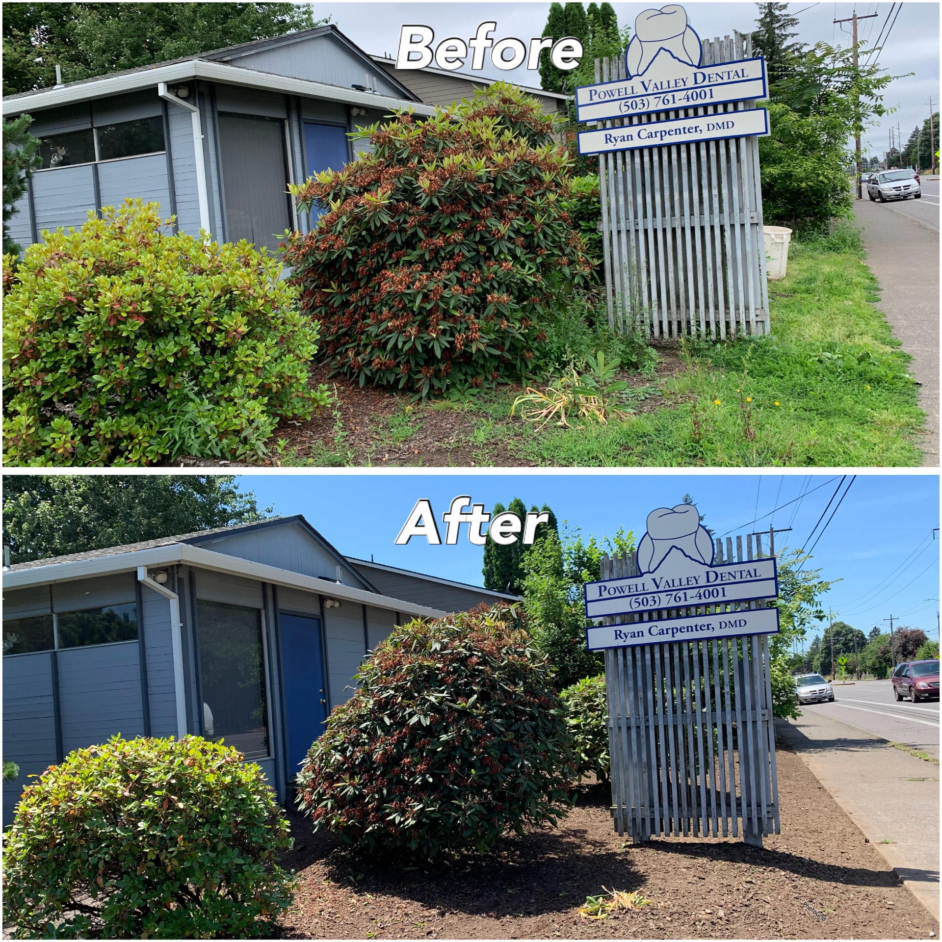 Yard Cleanup Services for Small Businesses in Vancouver, WA | Expert Team