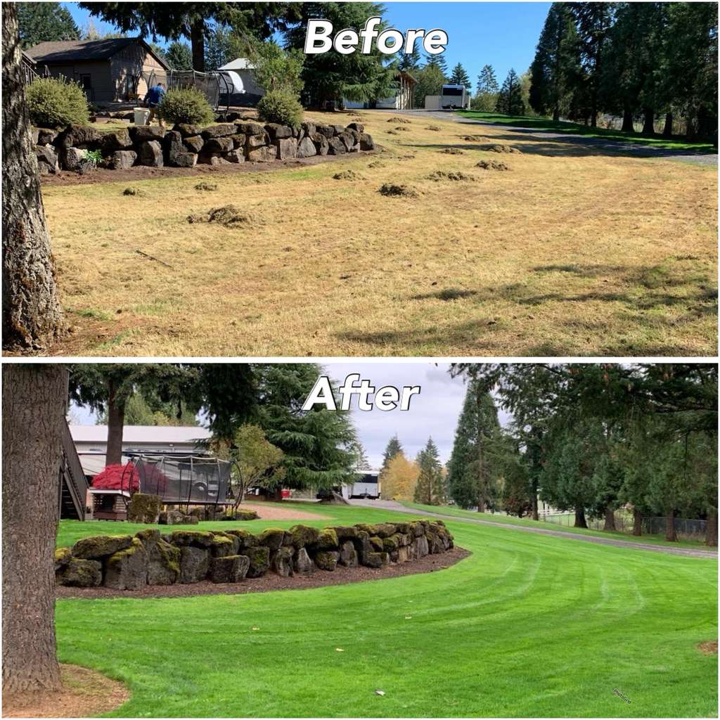 BEFORE- MY Green Pros | Professional Lawn Dethatching & Thatching Services in Milwaukie, OR