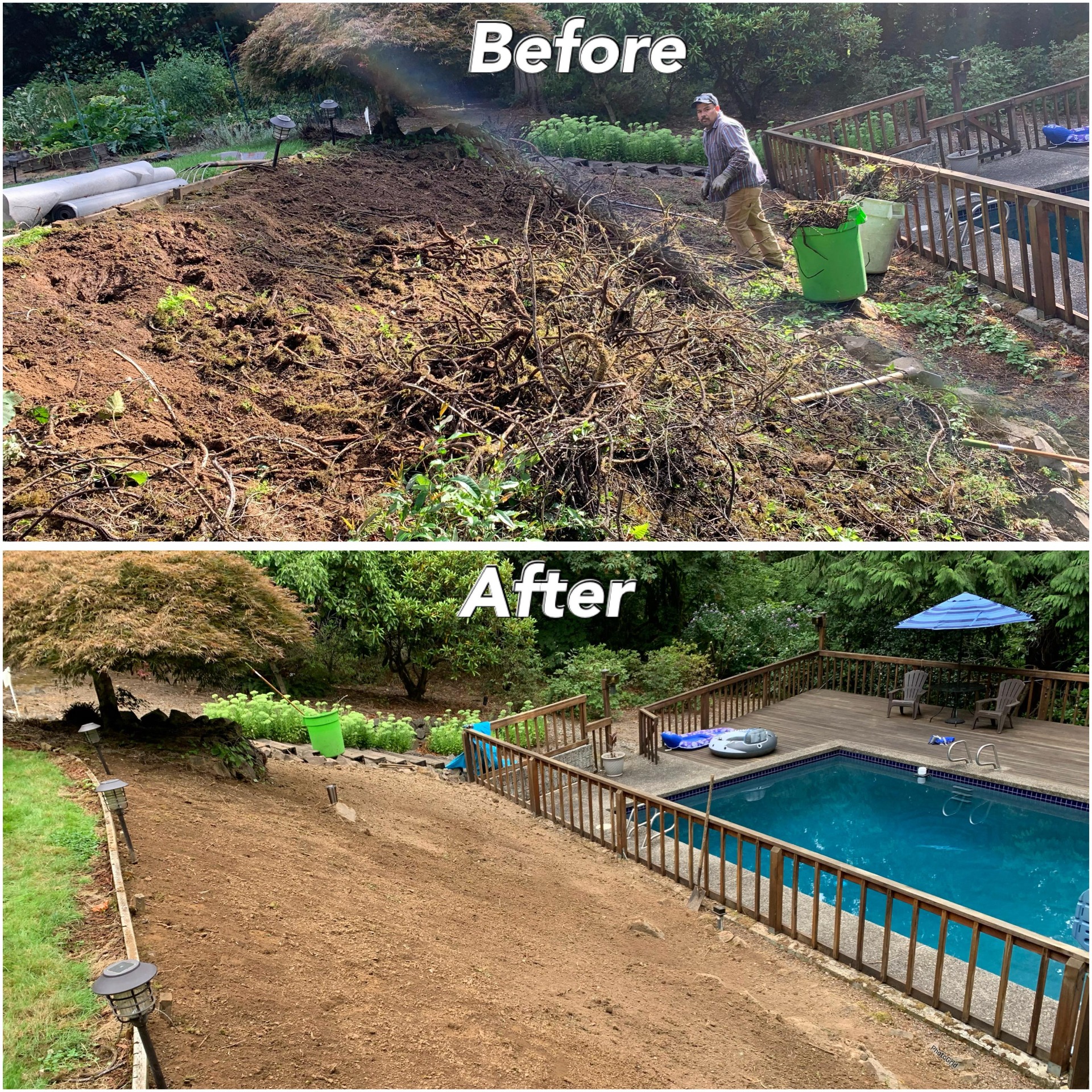 Overgrowth Yard Clean up Near you