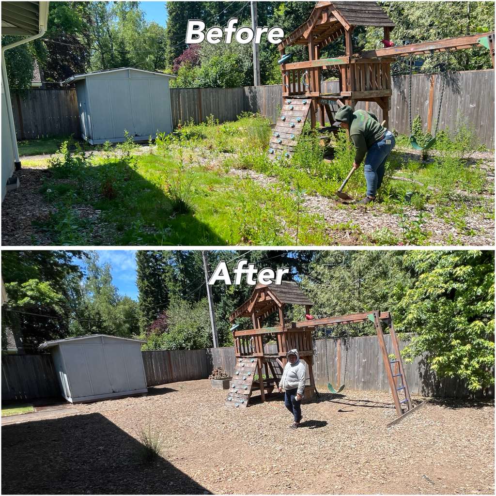 Overgrown Yard Cleanup & Removal Services in Beaverton, OR | Best Quality & Value
